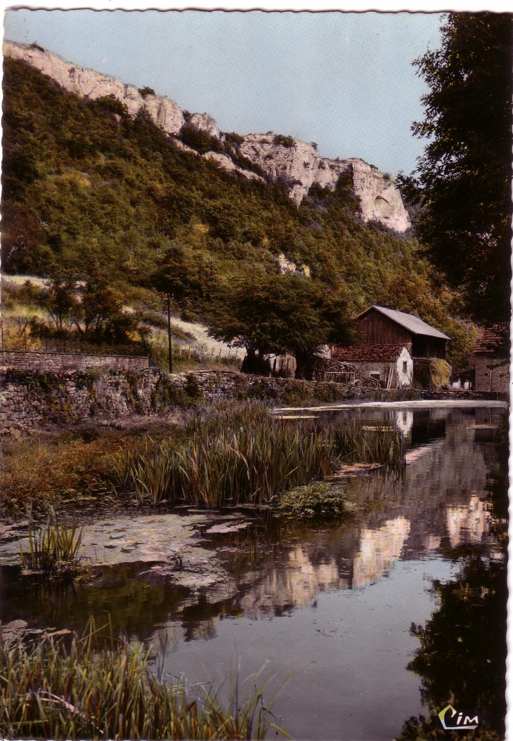 Etang à l'entrée de Bouilland en venant de Savigny les Beaune 1