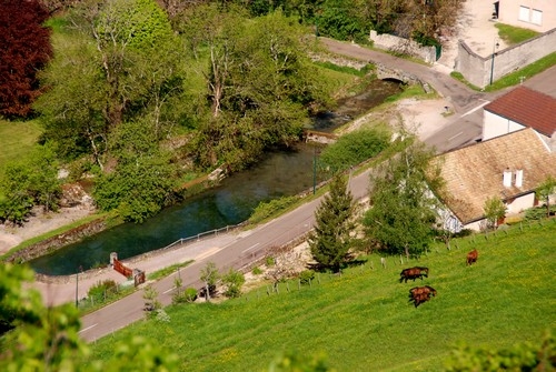 En 2012 le même étang à l'entrée de Bouilland en venant de Savigny les Beaune 3