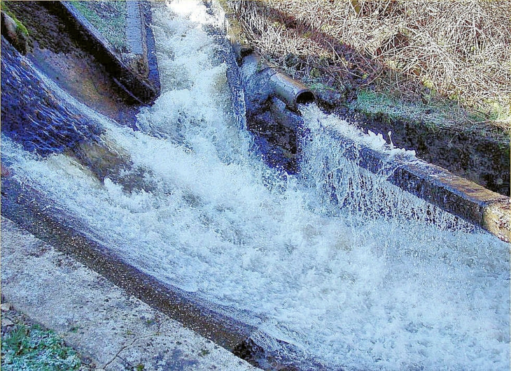 Le cousin à champeau en Morvan - Champeau-en-Morvan