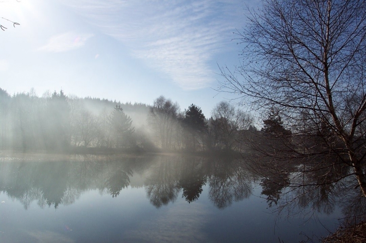 Un étang à Champeau - Champeau-en-Morvan