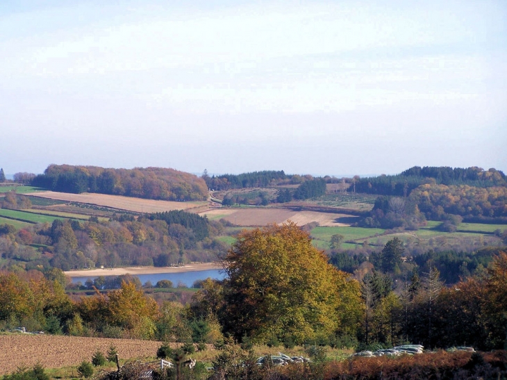 Sapins de noël en automne - Champeau-en-Morvan