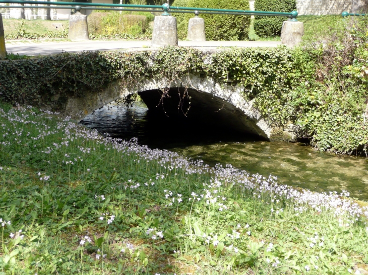 Pont sur la Douix - Châtillon-sur-Seine