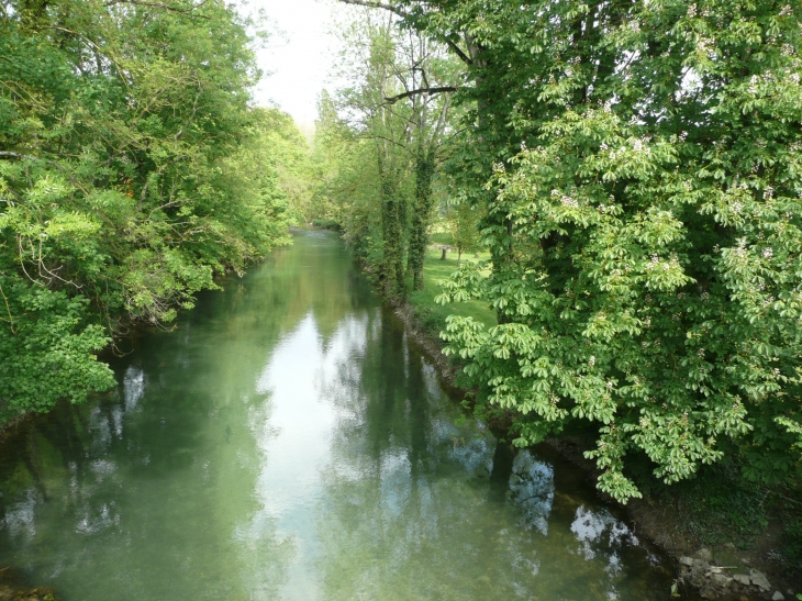 La Seine vue depuis le pont Anue de la gare - Châtillon-sur-Seine