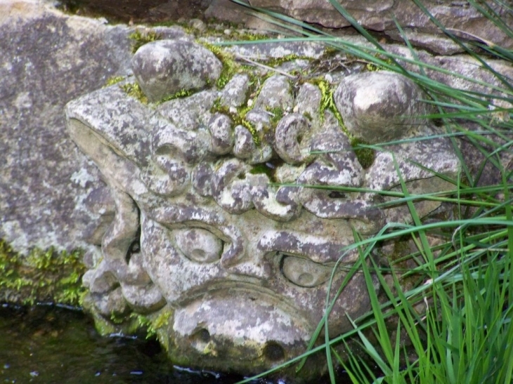 Le lion du lavoir - Chevannes