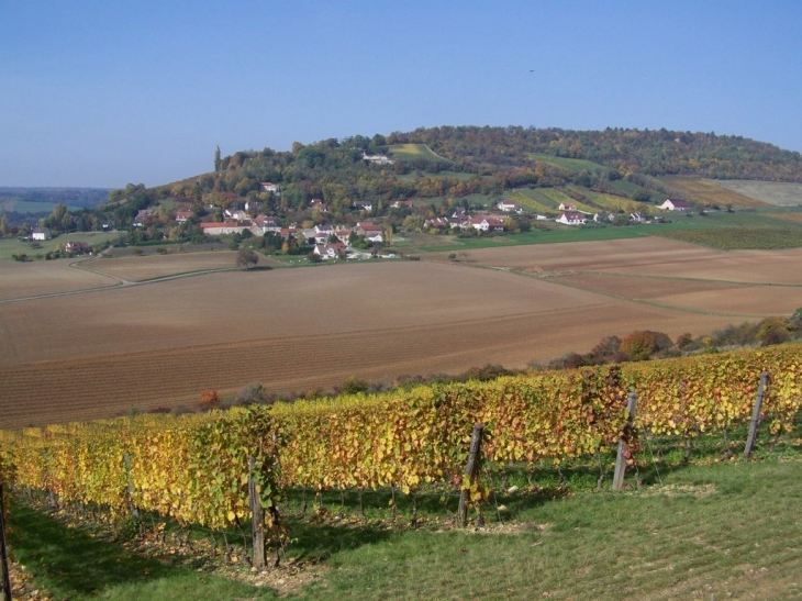 Vigne culture et village - Curtil-Vergy