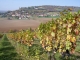 Photo précédente de Curtil-Vergy vignes et village