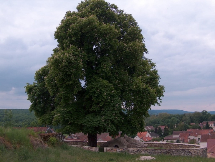 La glacière et les toits du village - Diénay