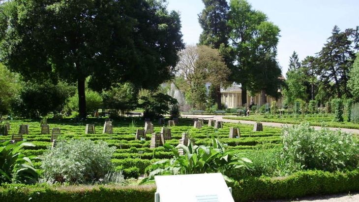 Vue sur le jardin botanique - Dijon