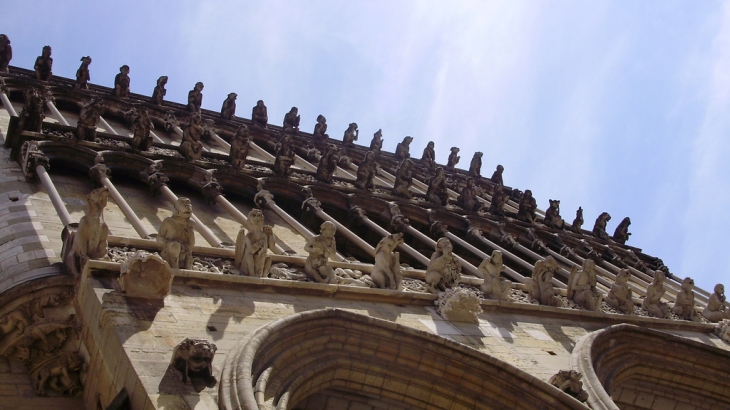 Les gargouilles de Notre-Dame - Dijon