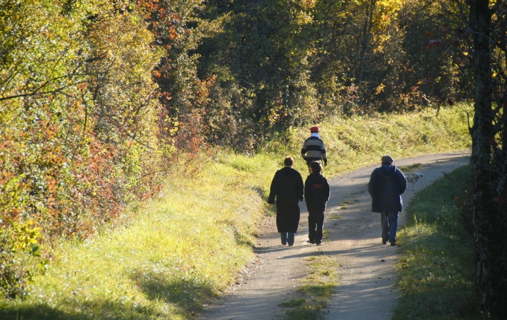 Promenade chemin de la Tommerée - Échevronne