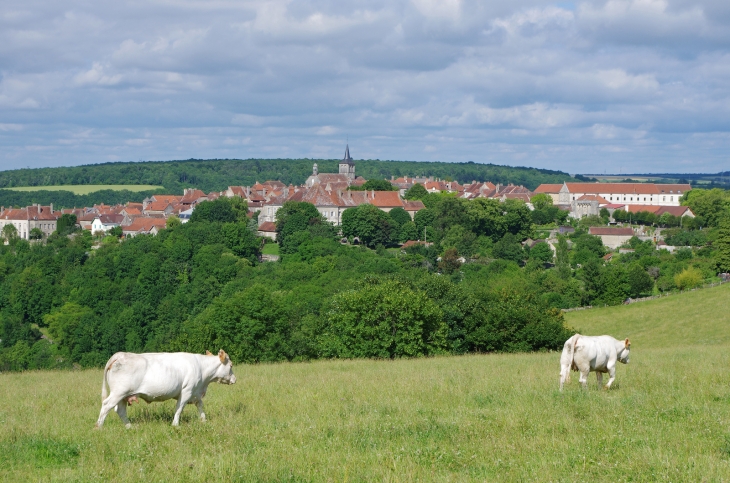 Vue générale de Flavigny.  Sur la droite, le grand bâtiment de la fabrique des anis de Flavigny. Ces petites dragées sont fabriquées uniquement avec du sucre, des arômes naturels et une graine d'anis en leur centre. - Flavigny-sur-Ozerain