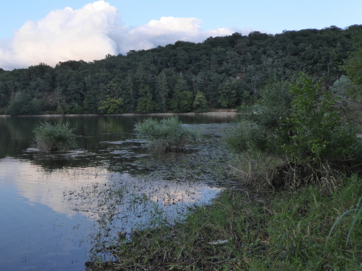 Le lac de Pont - Flée