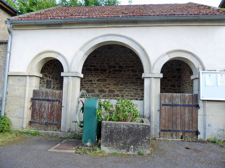 Allerey : le lavoir - Flée