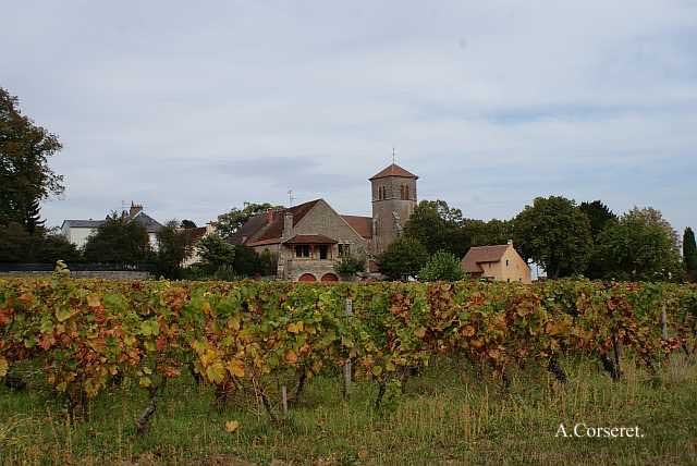 Gevrey-Chambertin