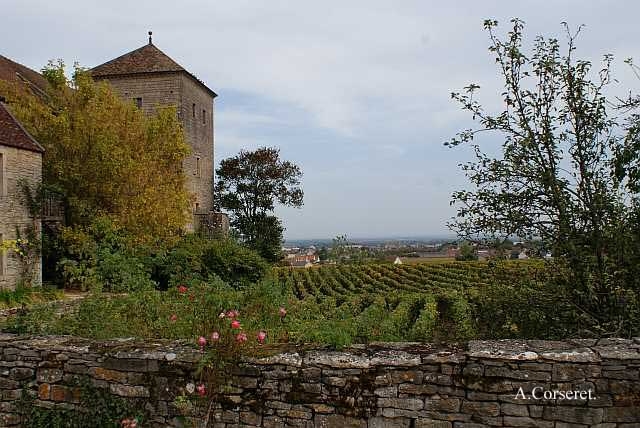 Gevrey-Chambertin