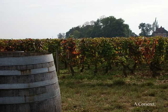 Gevrey-Chambertin