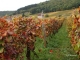 Photo suivante de Gevrey-Chambertin Gevrey-Chambertin