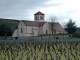 l'église et les vignes