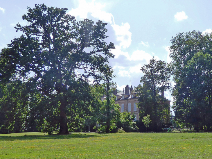 Le château derrière les arbres - Juillenay