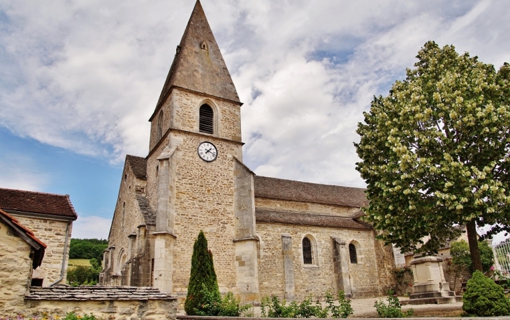 <église Saint-Georges - La Rochepot