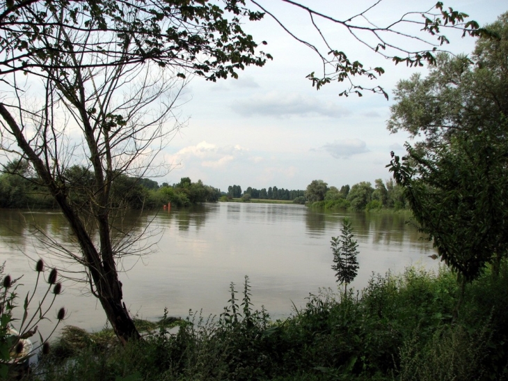 LA SAÔNE - Lechâtelet