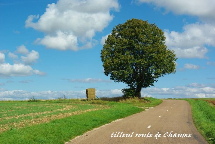 Route de chaume - Lucenay-le-Duc