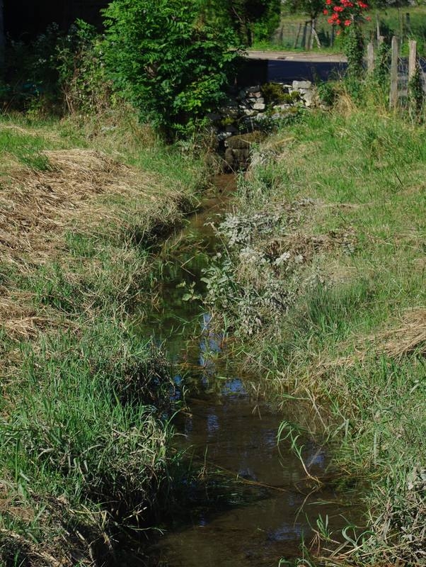 Ruisseau traversant les prés dans le village - Lucenay-le-Duc