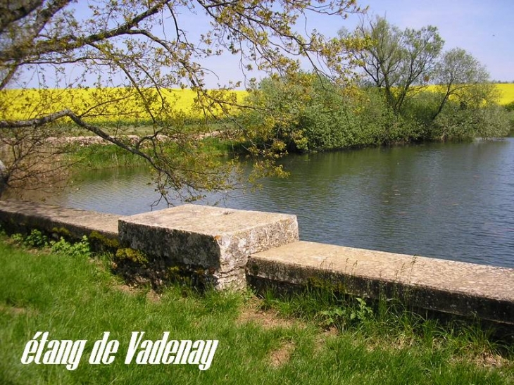 Etang privé - Lucenay-le-Duc