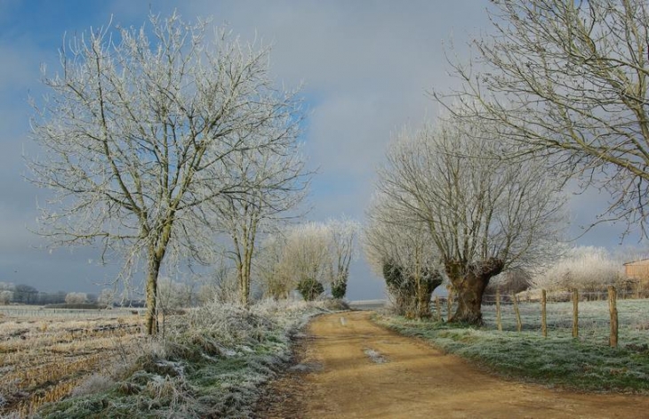 Givre chemin de la fontaine rouge - Lucenay-le-Duc