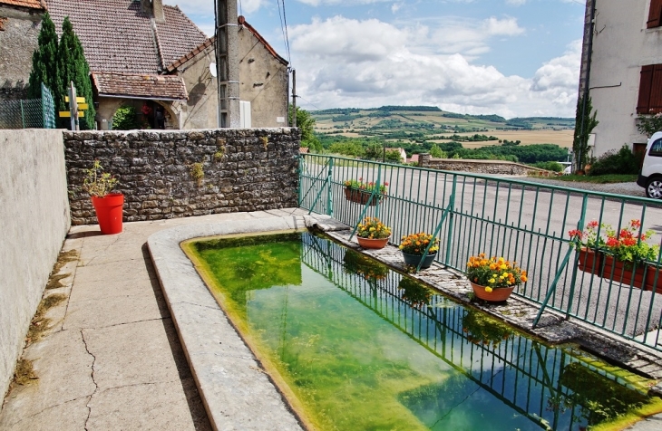 Le Lavoir  - Marcheseuil