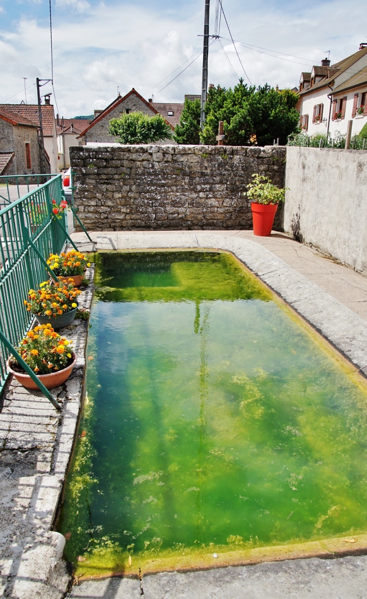 Le Lavoir  - Marcheseuil