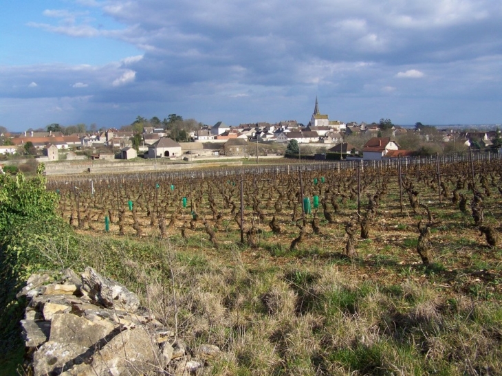 La ville - Meursault