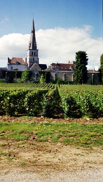 Eglise de Meursault