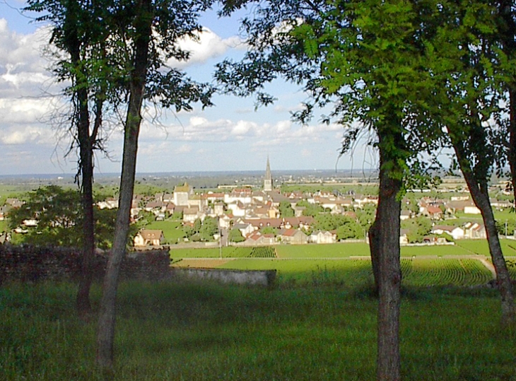 Meursault from St. Christophe