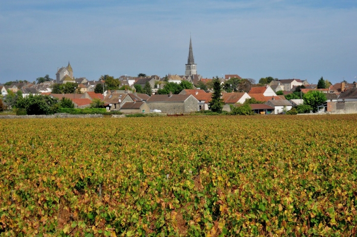 Village de Meursault.21