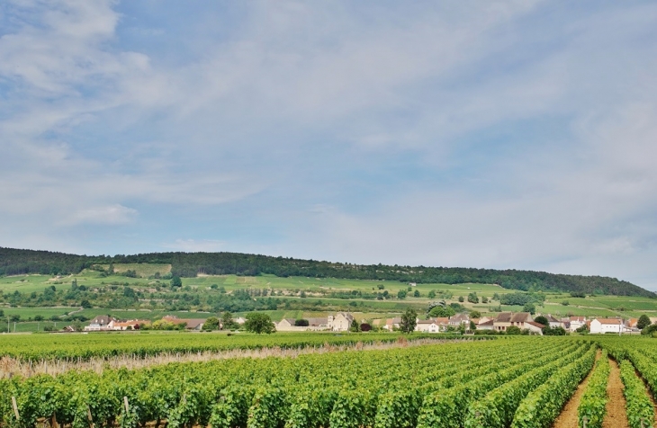 Panorama - Meursault