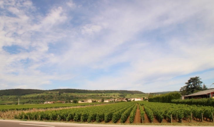 Panorama - Meursault