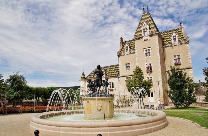 Fontaine - Meursault