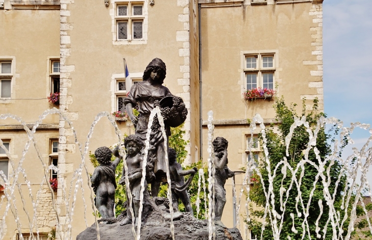 Fontaine - Meursault