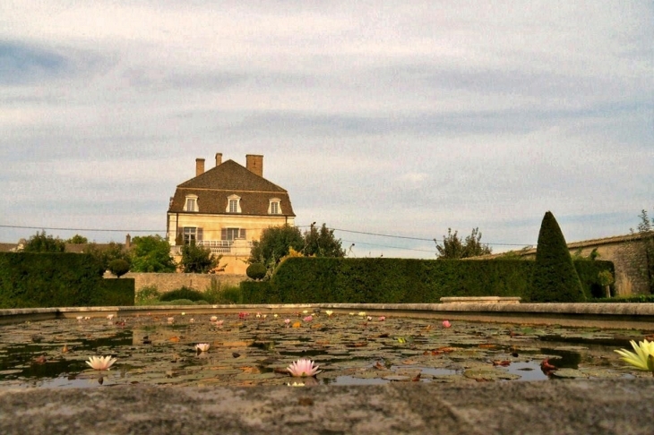 Bassin au Château de Pommard.21