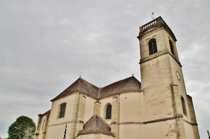 <église Saint-Pierre - Pommard