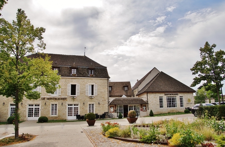 Le Village - Puligny-Montrachet