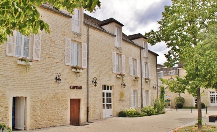 Le Village - Puligny-Montrachet