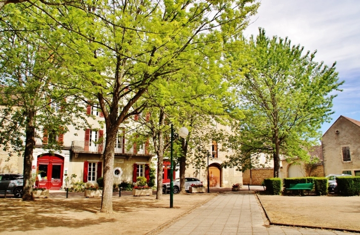 Le Village - Puligny-Montrachet