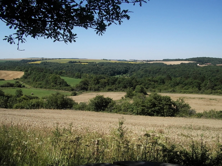 Paysage typique de ce coin de France - Recey-sur-Ource