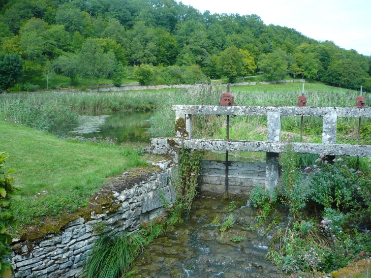 Marais près du moulin restauré - Saint-Broing-les-Moines