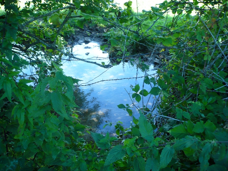 Résurgence de la Douix - Saint-Broing-les-Moines