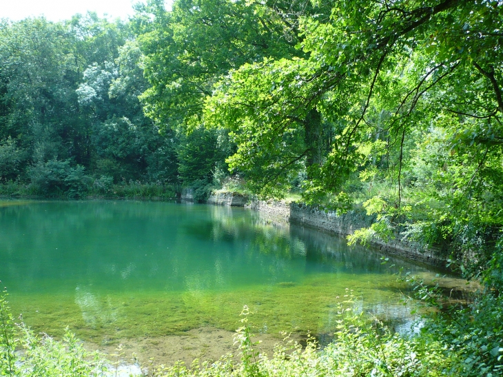 Autre marais près d'un moulin (qui n'existe plus) - Saint-Broing-les-Moines