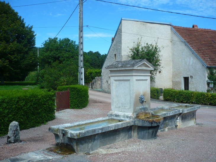 Fontaine à La Forêt - Saint-Broing-les-Moines