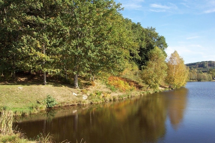 Automne sur le lac de Chamboux - Saint-Martin-de-la-Mer